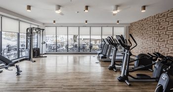 A gym with a row of treadmills and a row of exercise bikes.